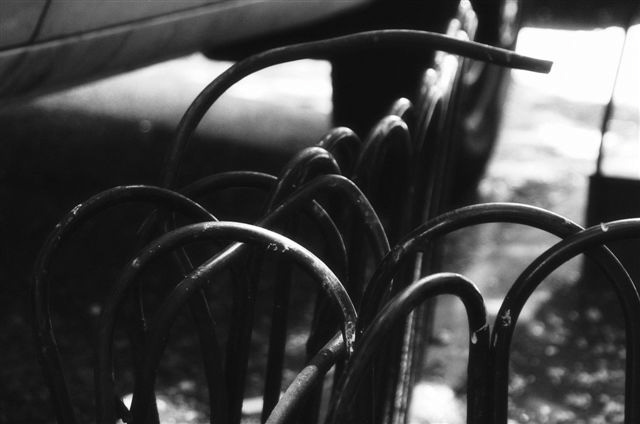_DSC5734%20(1)