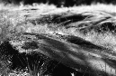 DSC_5655