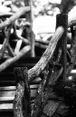 DSC_5748