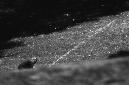 _DSC2752%20(1)
