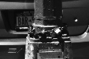 _DSC2755%20(1)