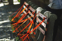 _DSC2758%20(1)