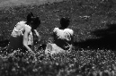 _DSC2764%20(1)