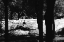 _DSC2769%20(1)