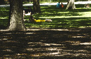 _DSC2797%20(1)