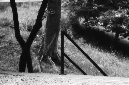 _DSC5536%20(1)
