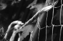 _DSC5537%20(1)