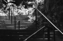 _DSC5625%20(1)