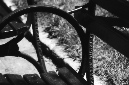 _DSC5635%20(1)