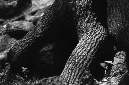 _DSC5647%20(1)