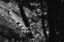 _DSC5649%20(1)