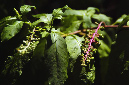 _DSC5667%20(1)
