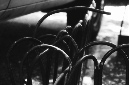 _DSC5734%20(1)