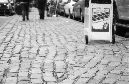 DSC_6550