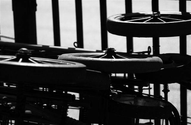 DSC_0019