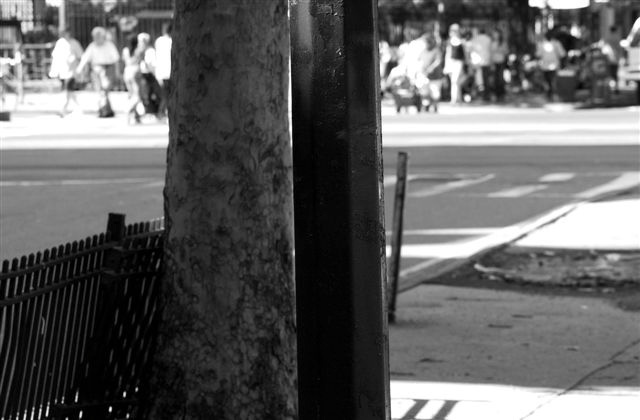 DSC_0033
