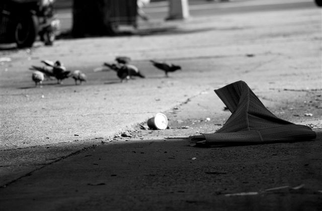 DSC_0049