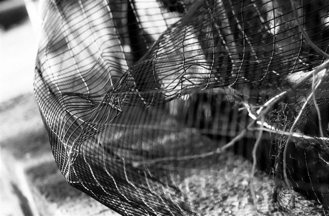 DSC_6177