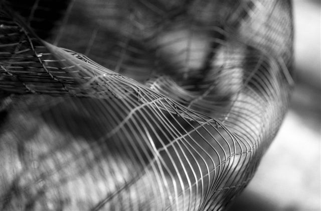 DSC_6186