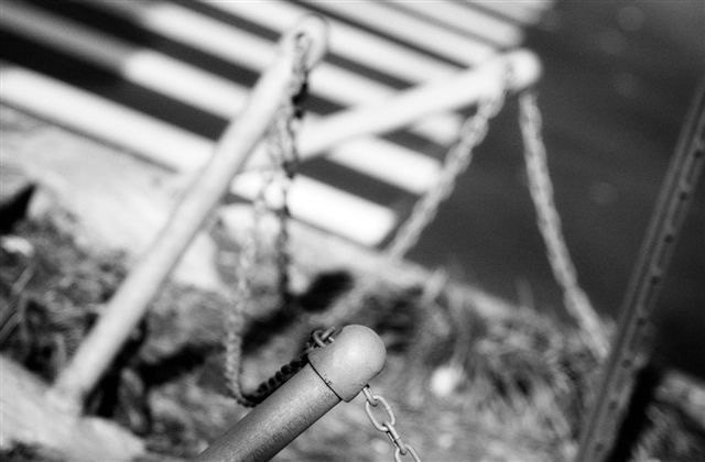 DSC_6205