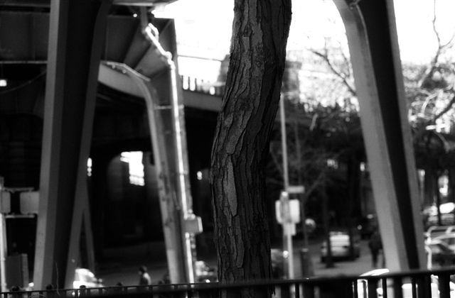 DSC_7895