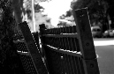 DSC_0015