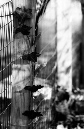 DSC_6198