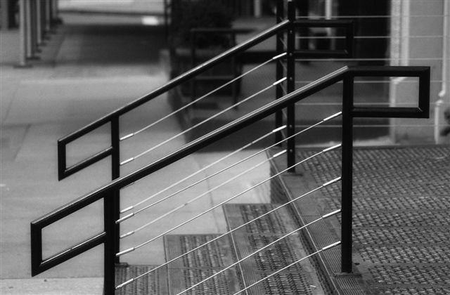 DSC_1531