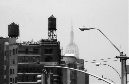 DSC_1520