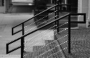 DSC_1531