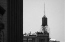 DSC_1564