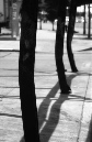 DSC_2250