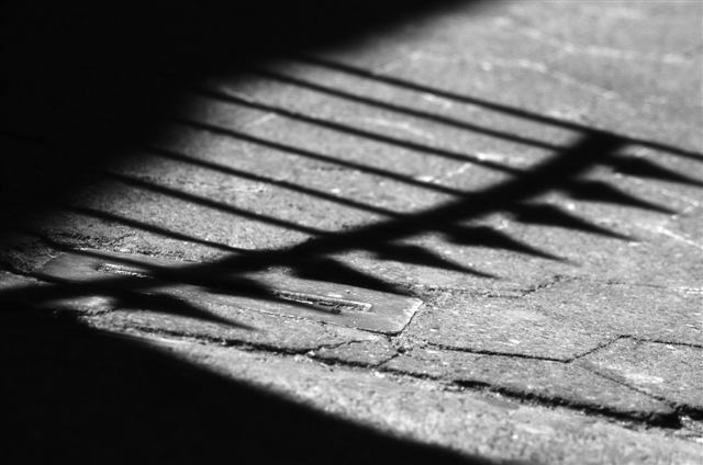 _DSC1111%20(1)