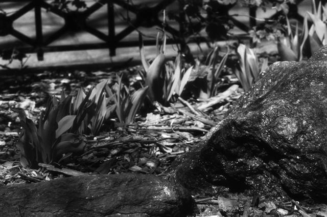 _DSC1119%20(1)