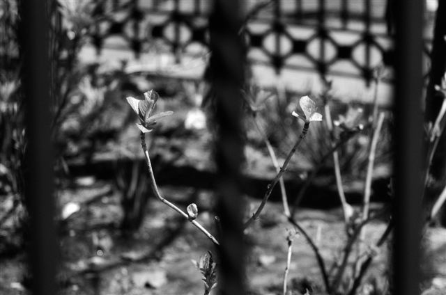 _DSC1143%20(1)