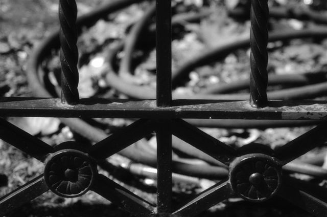 _DSC1146%20(1)