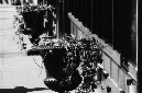 _DSC1108%20(1)
