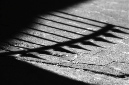 _DSC1111%20(1)
