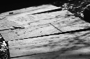 _DSC1125%20(1)