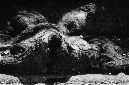 _DSC1131%20(1)