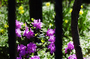 _DSC1138%20(1)