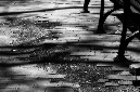 _DSC1140%20(1)