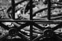 _DSC1146%20(1)