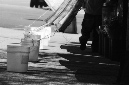 _DSC1151%20(1)
