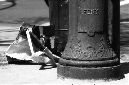 _DSC1168%20(1)