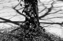 _DSC1178%20(1)