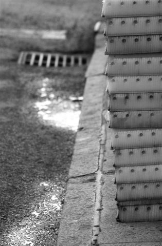 DSC_5486