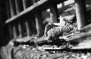 DSC_6193