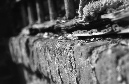DSC_6194