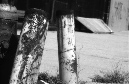 DSC_6206